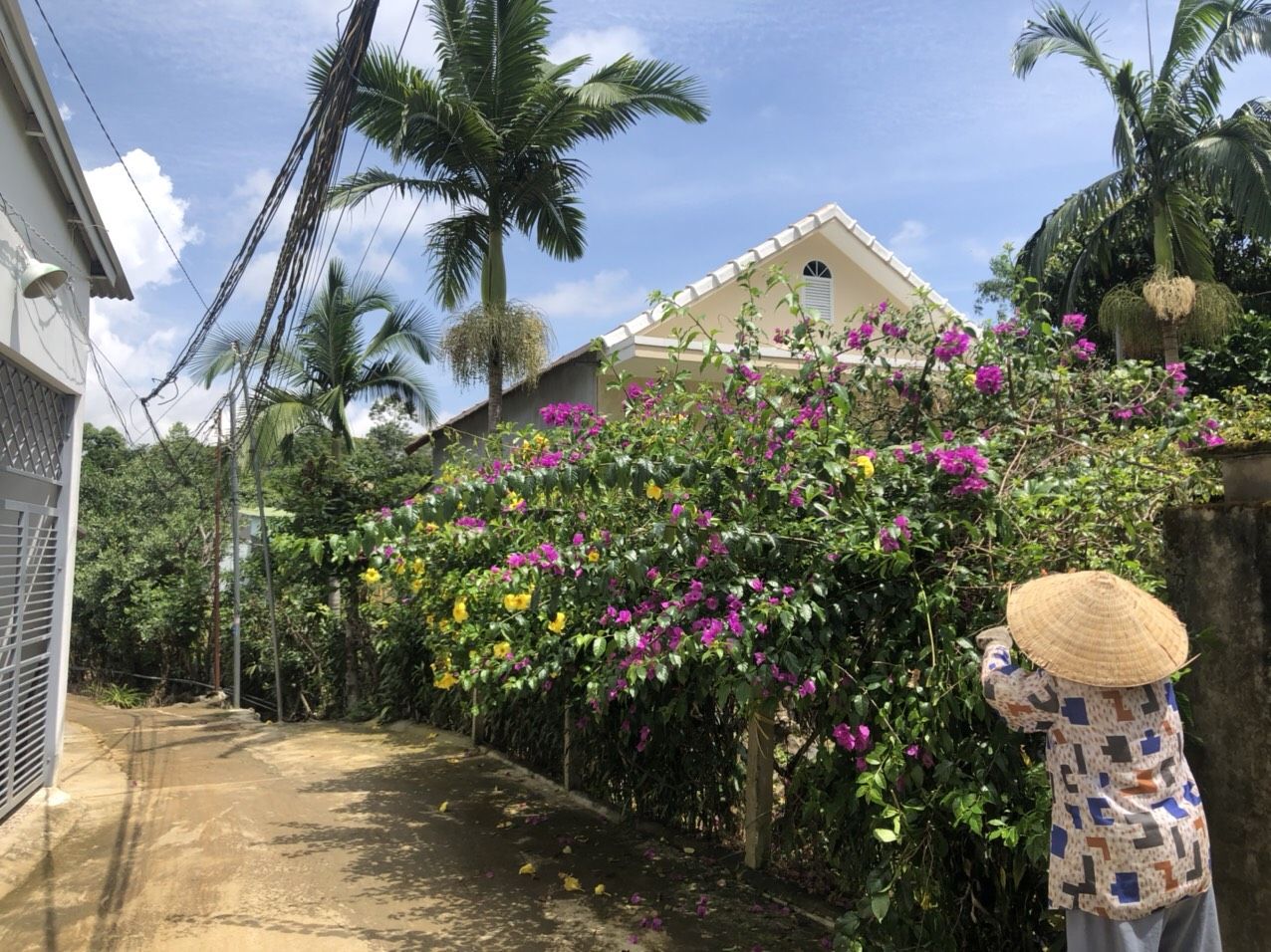 Cần Bán Nhanh Lô Đất Nghỉ Dưỡng Giá Siêu Rẻ Nằm Giữa Trung Tâm TP.Bảo Lộc.