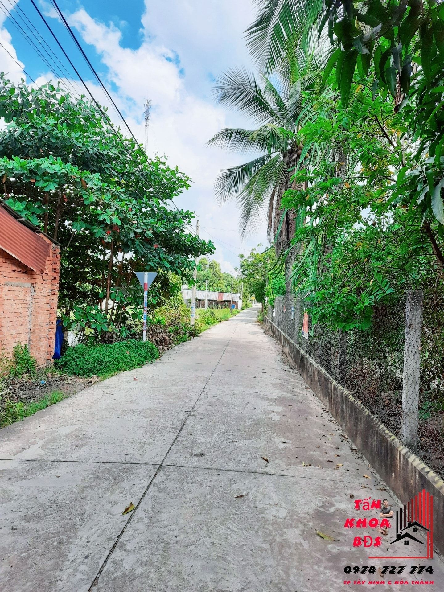 Bán đất Bình Minh Thành Phố Tây Ninh Tài chính phù hợp cho vợ chồng ra riêng 5 x 24 tc 100%
