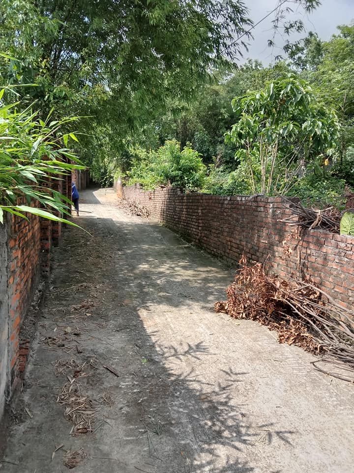 Giá đình cần tiền bán lô đất ở phường Trung Hưng, thị xã Sơn Tây, Hà Nội đường ô tô vào tận nhà