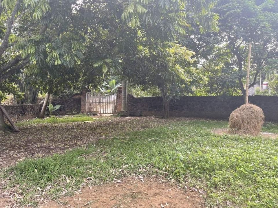 CHÍNH CHỦ BÁN LÔ ĐẤT 1440M2 VIEW CÁNH ĐỒNG TUYỆT ĐẸP, CÁCH ĐƯỜNG NHỰA ĐỒNG BÈN 30M