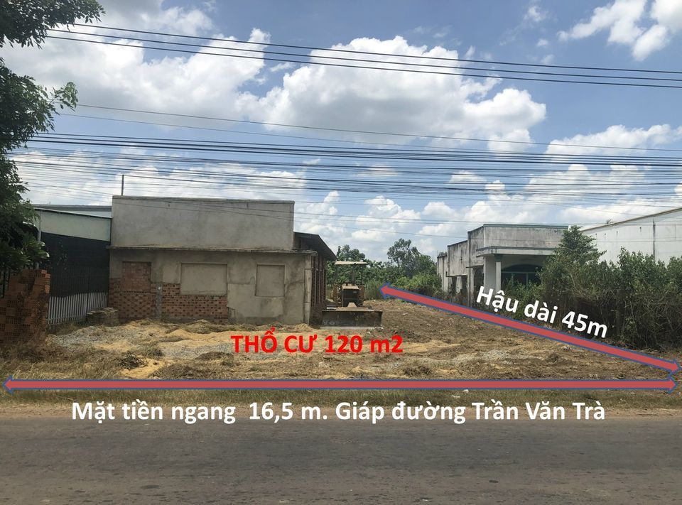 Chính chủ cần bán gấp lô đất mặt tiền đường Trần Văn Trà Diện tích 16,5 x 45 m2. Thổ cư 120 m2
