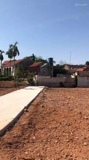 Cần tiền Bán Gấp Đất Xã Tiên Lục, Huyện Lạng Giang, Tỉnh Bắc Giang 120m2 giá chỉ 550 triệu
