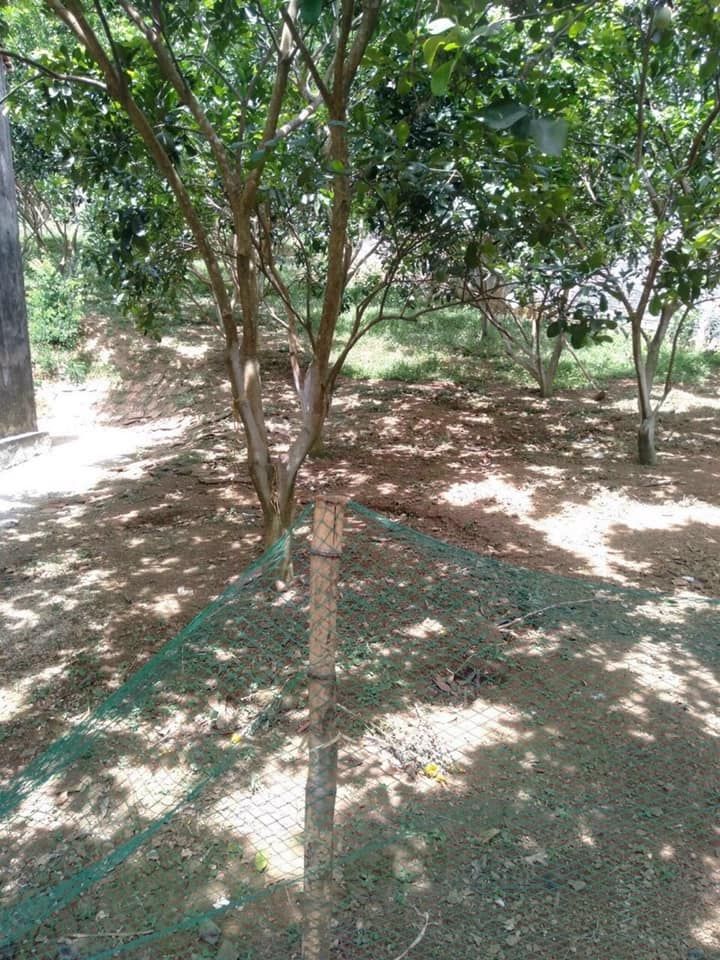 Bán hơn 6000m đất có hơn 1000m đất vườn giá có 1.5 tỷ Tổng diện tích cả đất rừng và đất ở 6000m