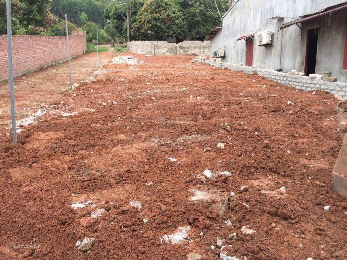 Bán gấp Đất Lạng Giang sát ngã 3,4 đường QH4 & đường 295, Rùa Vang City DT204.5m2 giá chỉ 1.25tỷ
