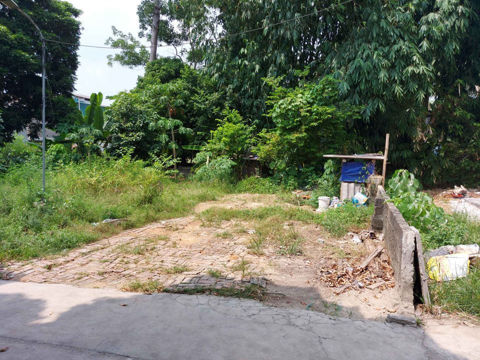 Bán đất tổ 5 Phường Nông Tiến Diện tích 123 m2 Kích thước 7x17,5, nở hậu 7,5m Hướng Đông Đường rộng