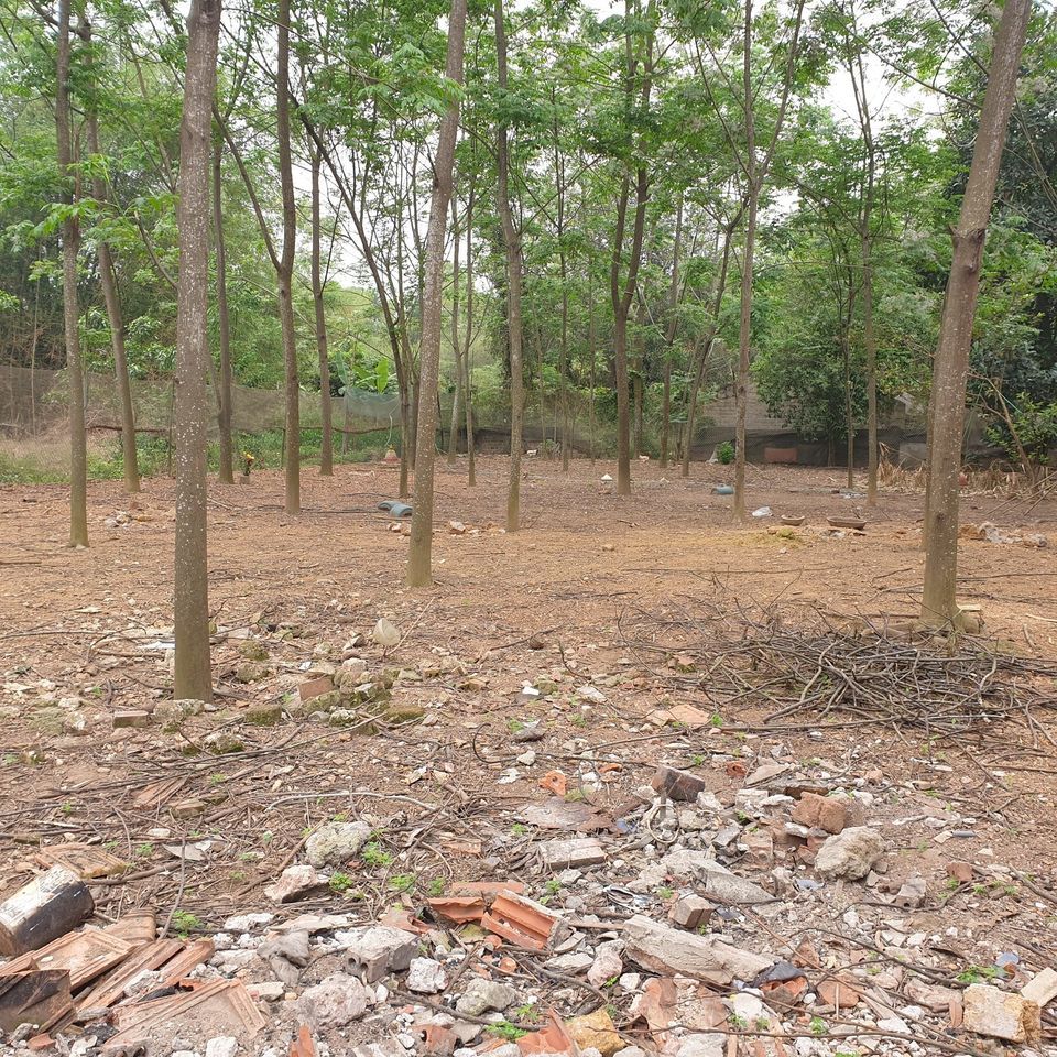Siêu phẩm đất bám hồ nước lớn Xuân Khanh, Sơn Tây,Hà Nội 1 mặt bám hồ 1 mặt đưởng tỉnh lộ
