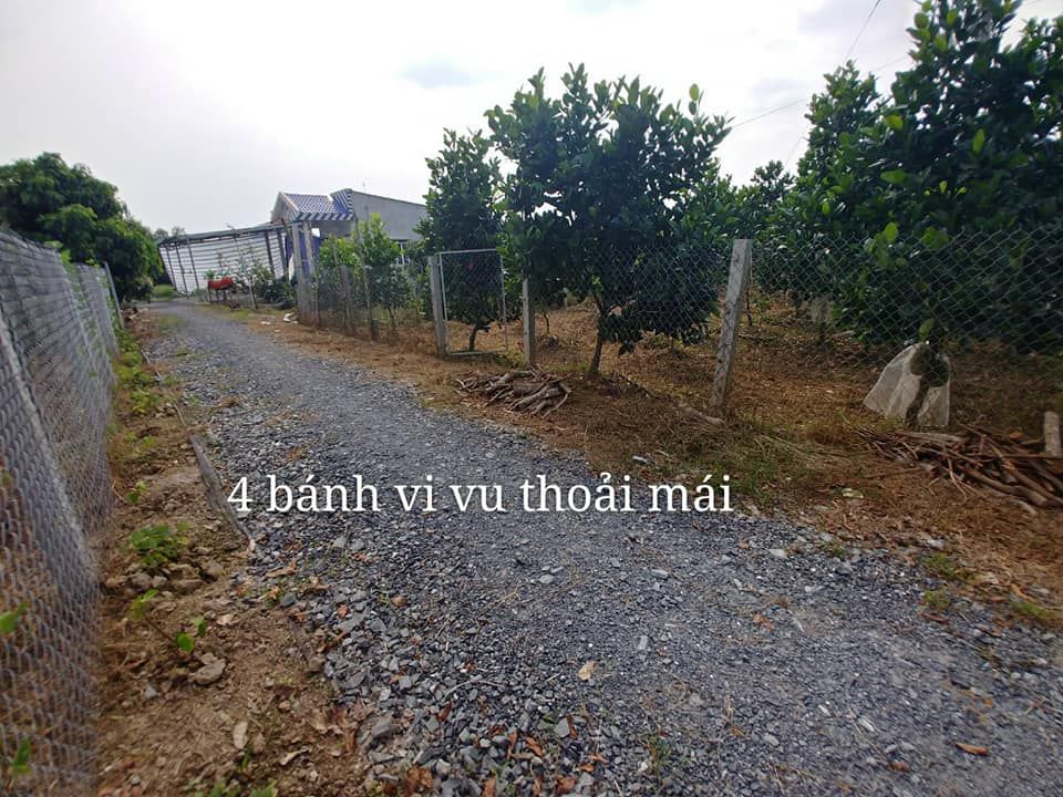 Cần bán đất trồng cây lâu năm khu vực Khóm Vĩnh Bình, Phường Tân Ngãi, TPVL Diện tích 1419,9 m2