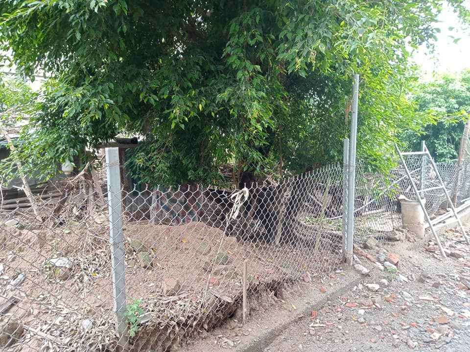 Chính chủ cần bán 100m2 đất Xâm Động, Vân Tảo, Thường Tín, HN Mt 8,36m Mt 8,36m