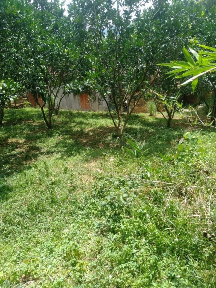 Bán hơn 6000m đất có hơn 1000m đất vườn giá có 1.5 tỷ Tổng diện tích cả đất rừng và đất ở 6000m