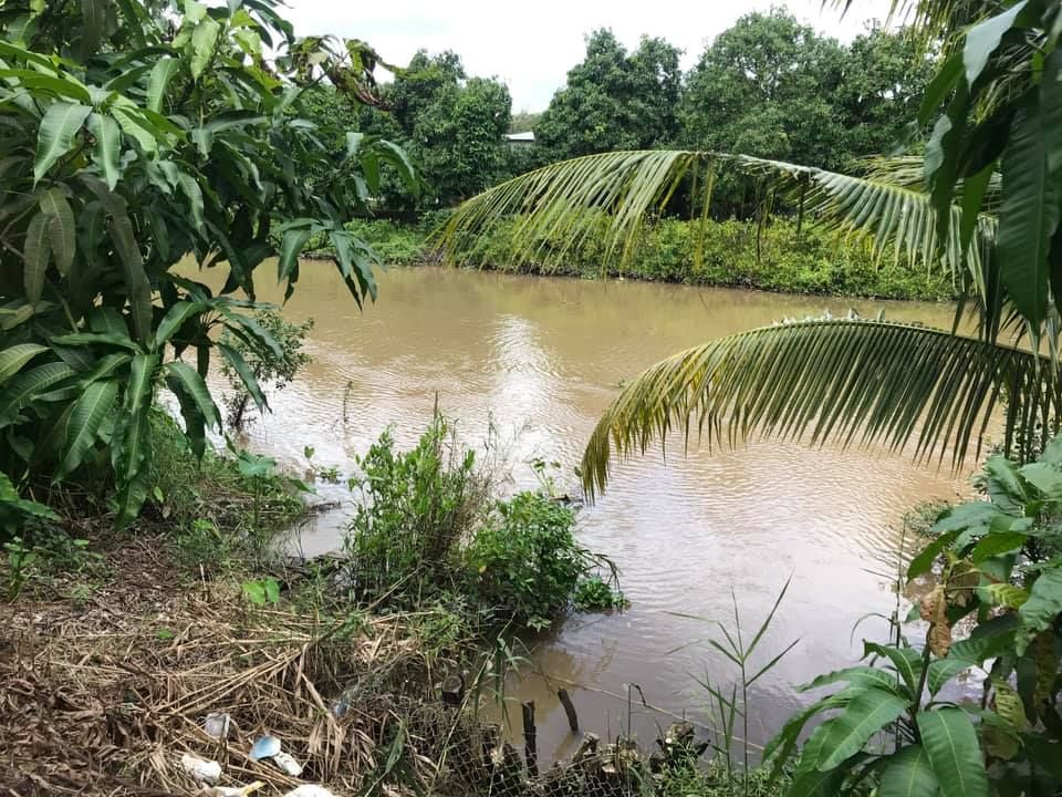 KẸT NỢ NGÂN HÀNG CẦN BÁN GẤP vườn xoài 8.300m2 mặt tiền đường nhựa 6m gần UBND và chợ Tịnh Thới