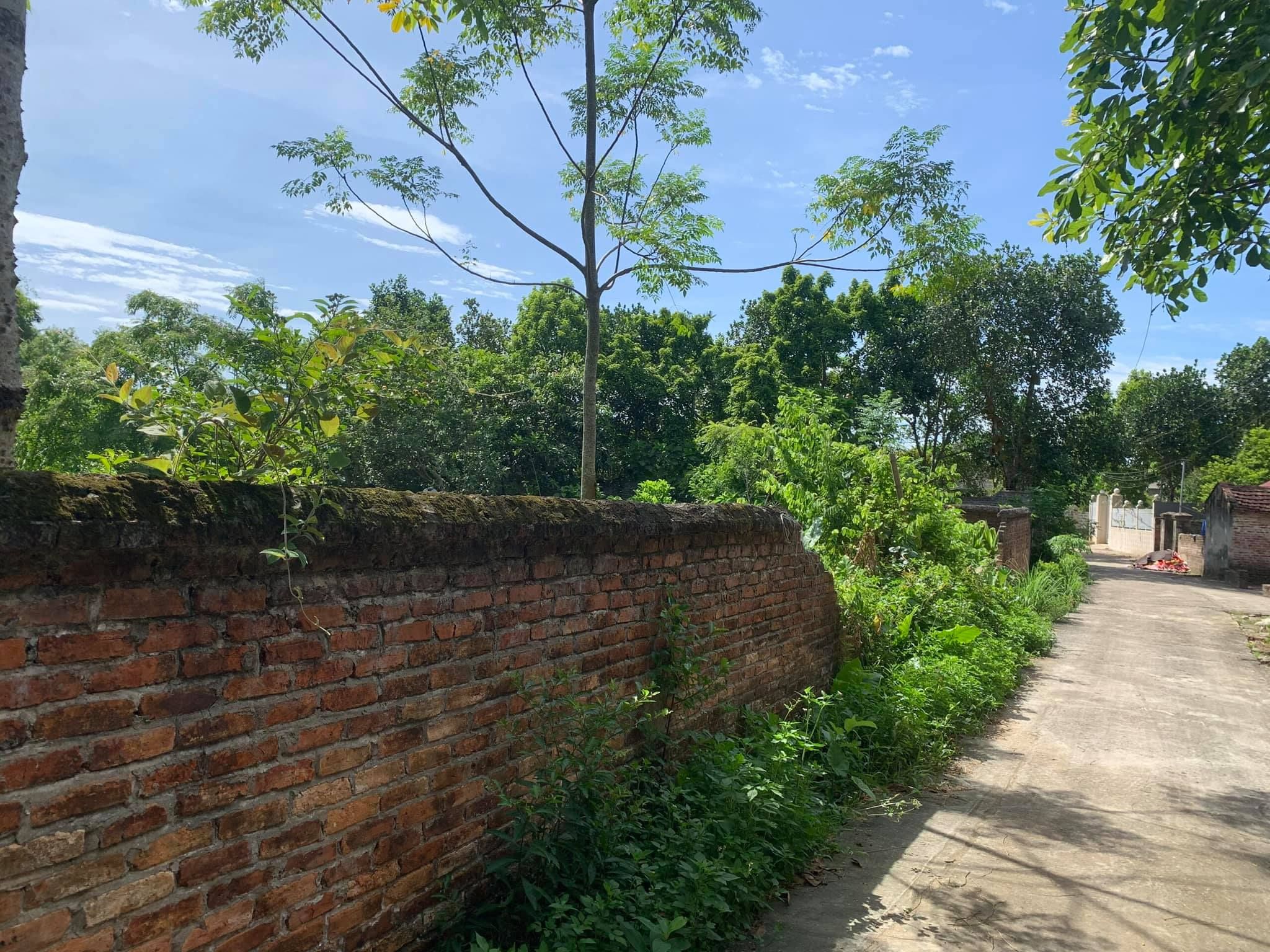 BÁN ĐẤT NHUẬN TRẠCH - LƯƠNG SƠN, 2700M ĐẤT VUÔNG , NỞ HẬU , MẶT TIỀN RỘNG