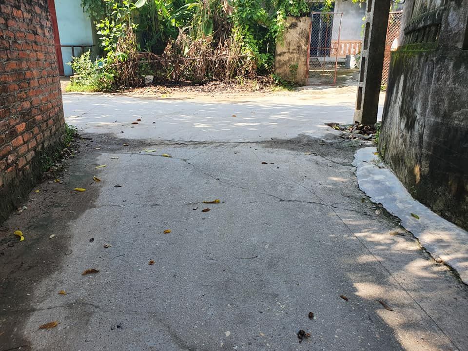 Mở bán lô đất đẹp ở Phú Hạ Minh Phú, diện tích mỗi lô 133m, mặt tiền 6,6m hậu 6,6m. Đường rộng 3