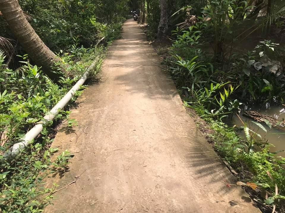 Đất Tân Hội Mỏ Cày Nam 2 công chốt 280 triệu / công thương lượng Đất đang trồng dừa