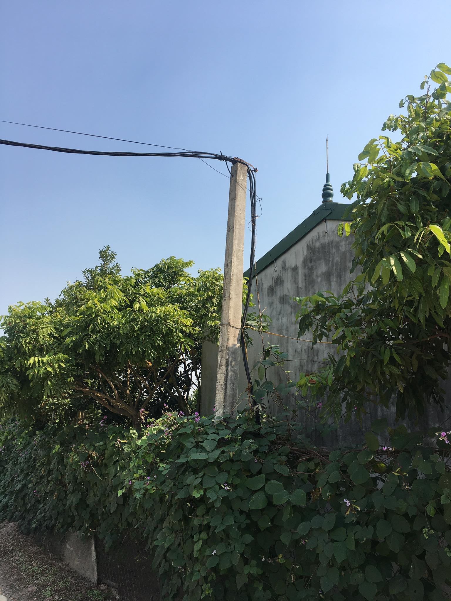 Cần bán đất vườn bưởi tặng nhà cấp 4, sổ hồng 50 năm (2063) - Diện tích gần 1600m2