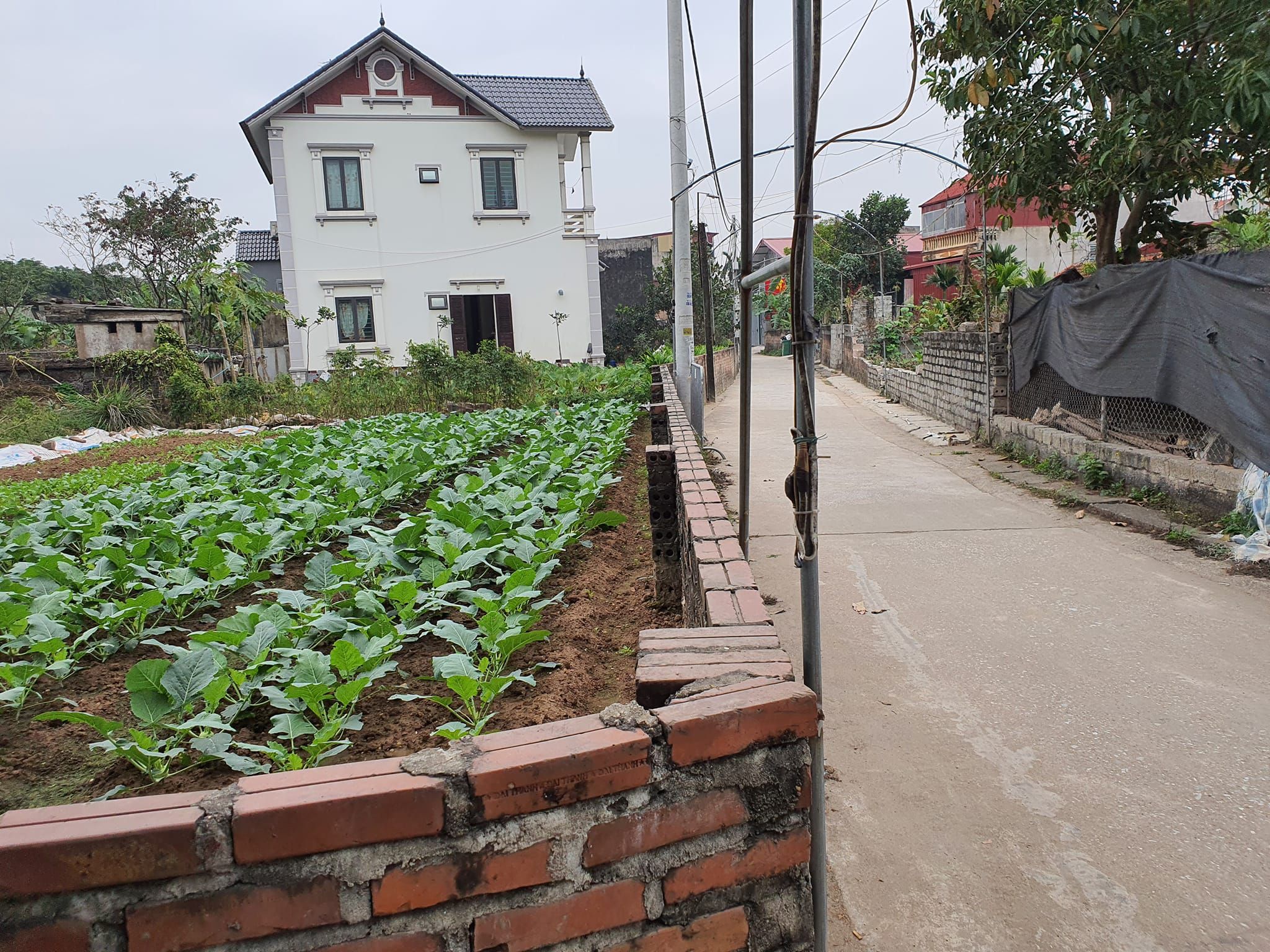 Chỉ nhìn thôi đã yêu rồi Đất Hồng Vân Thường Tín Giá nhỉnh 10trieu/m2 0944797188
