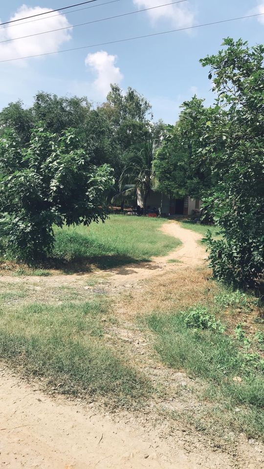 Bán đất chính chủ DT gần 2mẫu4 Có hơn 2000 trụ thanh long 1 ao cá hơn 1 sào 1 bình điện Tân Lập HTN