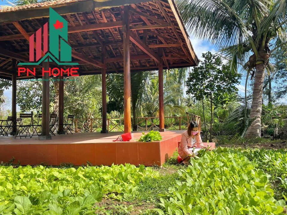 Siêu View nhà vườn nghĩ dưỡng - nằm ngay trung tâm thị trấn Ea Pok huyện Cư Mgar, cách BMT 10km