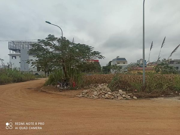Đất khu Dân Cư Lý Thái Tổ phường Phan Thiết Diện tích 115m2 vị trí đối diện Nhôm Kính Hội Đồng