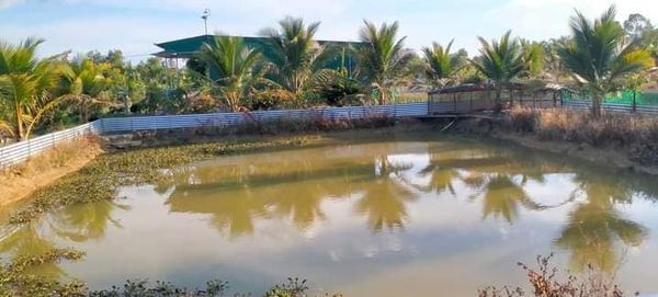 Bán đất làm khu nghỉ dưỡng view đẹp chính chủ tân phú 6.250 m2 rất lý tưởng đồi núi đồng ruộng