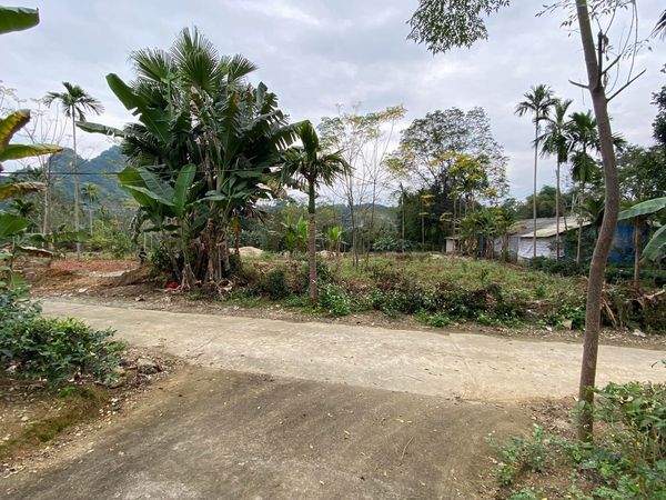 Mình đang cần tiền nên muốn bán ô đất VĨNH TUY ĐƯỜNG TỰ LẬP đường có cao áp Gần CHỢ TRƯỜNG CẤP 1 2
