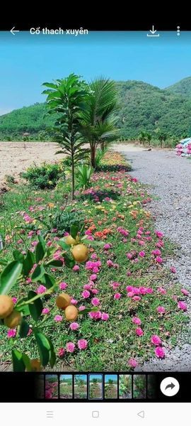 Bán đất làm khu nghỉ dưỡng view đẹp chính chủ tân phú 6.250 m2 rất lý tưởng đồi núi đồng ruộng