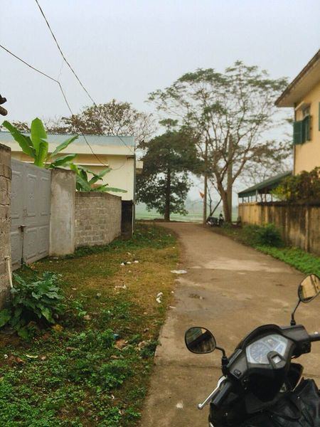 Bán đất sổ đỏ chính chủ gần Trường Nghề Hoà Bình giá bình dân Mặt tiền 4,2 m sâu 34,2 m dt 143m