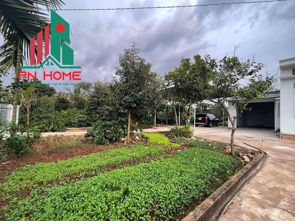 Siêu View nhà vườn nghĩ dưỡng - nằm ngay trung tâm thị trấn Ea Pok huyện Cư Mgar, cách BMT 10km