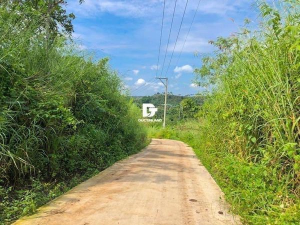 Bán đất đồi Hàng Gòn Diện tích 580m2 Vị trí Đất ngay đường betong oto tới đất, cách hồ Cầu Dầu 1