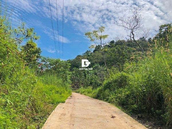Bán đất đồi Hàng Gòn Diện tích 580m2 Vị trí Đất ngay đường betong oto tới đất, cách hồ Cầu Dầu 1