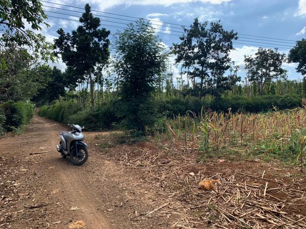Gần Tết Xả Lỗ Lô Đất Đầu Tư Cho Anh Chị Em Thuộc Buôn Eamta, Xã Eabhok, Cưkuin Cách Quốc Lộ 27 450m
