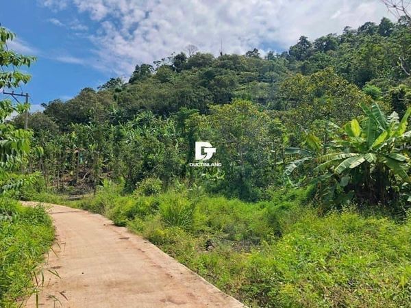 Bán đất đồi Hàng Gòn Diện tích 580m2 Vị trí Đất ngay đường betong oto tới đất, cách hồ Cầu Dầu 1