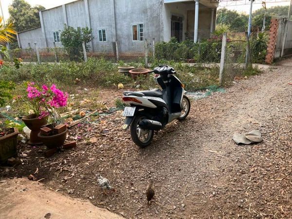 Đất hoà Long đường số 55 cách tỉnh lộ 52 500m Dt 10x30 thổ cư 100..đất hai mặt tiền đường bê tông