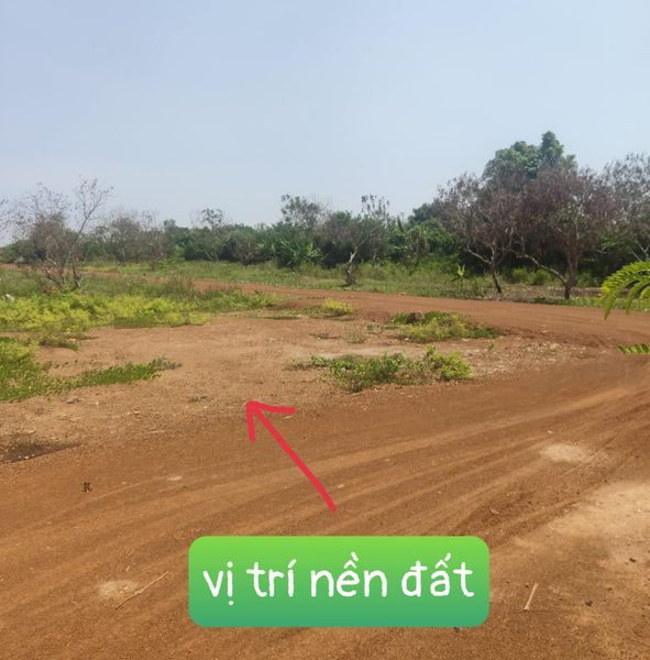 Cần bán nhanh miếng đất như hình Trảng Bom. DT 100 m2( 5x20m) 195tr ( bao sổ hồng đứng tên)