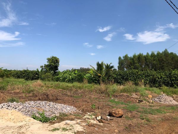 Chỉ còn 1 sào duy nhất đất đẹp mà vuông ngay trung tâm TT trảng bom Đất cách đường nhựa lớn 250m