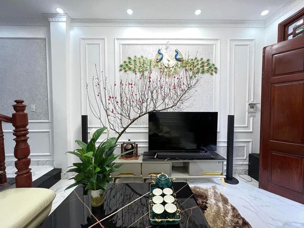 Nhà đẹp đón Tết Đào,Quất sẵn sàng Nhà mình trung tâm quận Hoàng Mai-cách mặt đường chính 15m