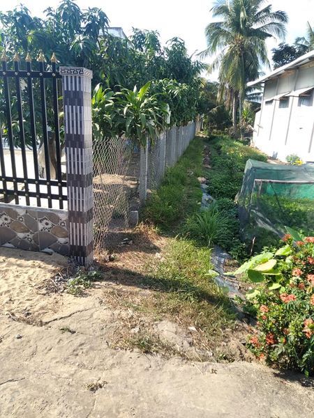 Bán gấp đất vườn có 700 cây mít, 600 cây chanh đang thu hoạch 16.500m ấp 2 B thị trấn bảy ngàn CTA