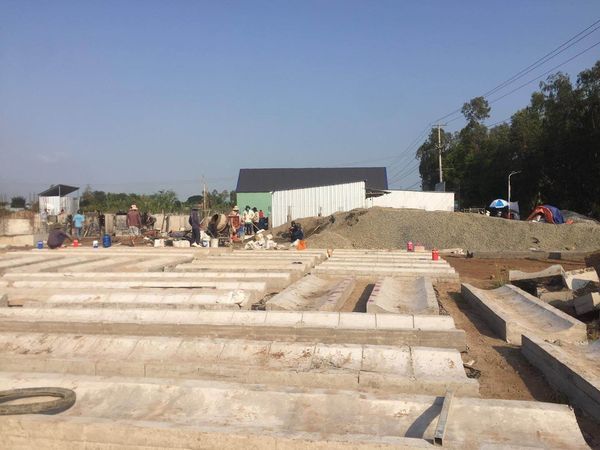 DỰ ÁN KHU DÂN CƯ VÀ CHỢ AN LONG ĐANG HÓT HỪNG HỰC Giai đoạn lúa non lúc này lại càng ngon hơn