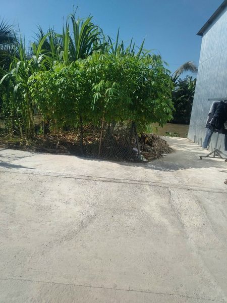 Bán Miếng Đất Tặng Nhà Tiền Chế DT: 6x21 Bao Giấy Tờ Từ A-Z Giá 300 Triệu Thương Lượng Tân Bình