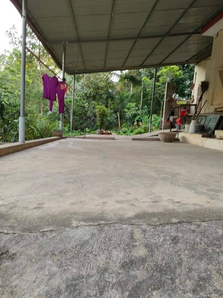 NHÀ VƯỜN MINI GIỮA LÒNG THÀNH PHỐ YÊN BÁI nhà cấp 4, diện tích đất siêu rộng