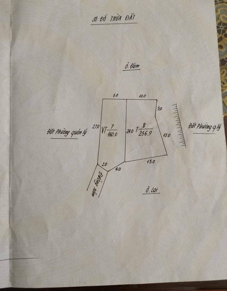 NHÀ VƯỜN MINI GIỮA LÒNG THÀNH PHỐ YÊN BÁI nhà cấp 4, diện tích đất siêu rộng