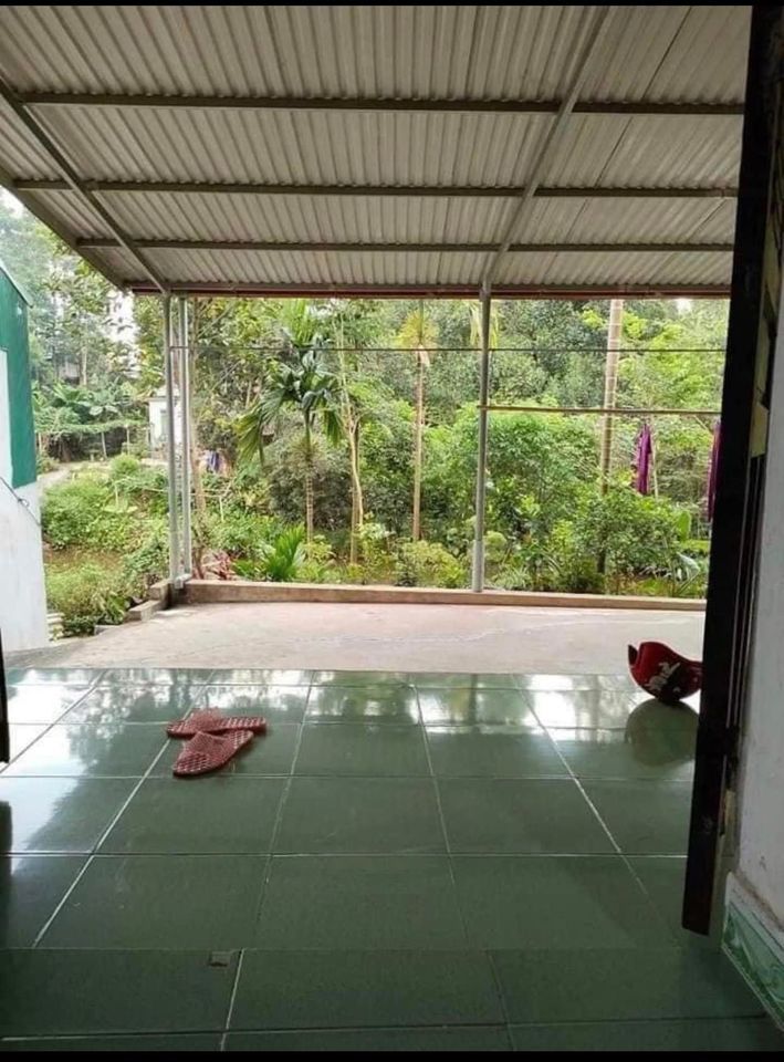 NHÀ VƯỜN MINI GIỮA LÒNG THÀNH PHỐ YÊN BÁI nhà cấp 4, diện tích đất siêu rộng