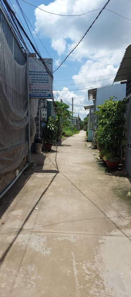 Cần bán đất diện tích 12*20 full thổ trên đất có căn nhà 6*20 Vị trí ấp 1 trung an Mỹ Tho