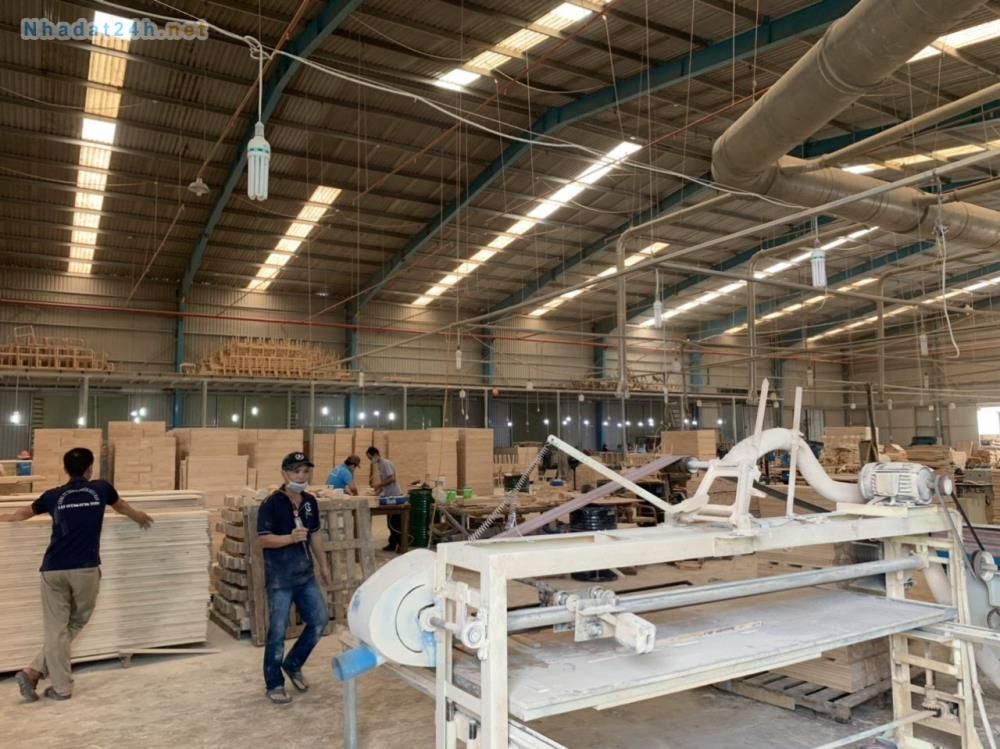BÁN XƯỞNG LÀM NỘI THẤT GỖ, 8800M2, TÂN AN, VĨNH CỬU, ĐỒNG NAI