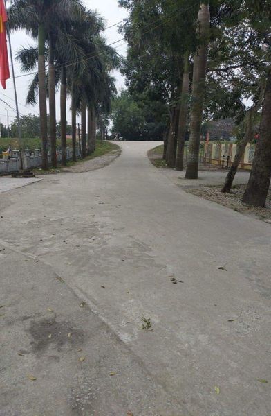 Chính chủ gửi e bán lô đất ở thôn Thị Nguyên, Cao Dương, Thanh Oai Diện tích: 95m2