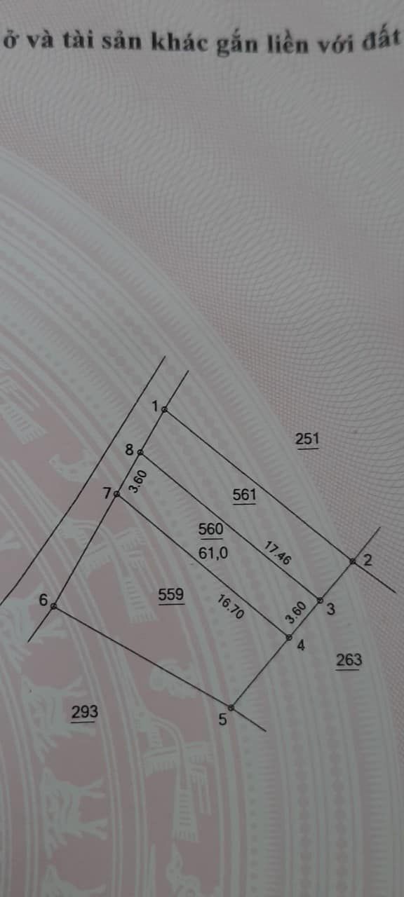 CẦN TIỀN BÁN GẤP 61m2 ĐẤT Ở ĐẠI ĐỊNH - TAM HƯNG. SÁT ĐƯỜNG CIENCO5 và VÀNH ĐAI 4.
