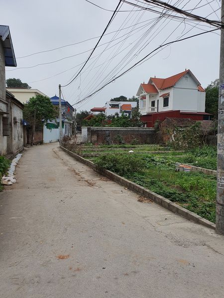 Chính chủ gửi e bán 50m2 đất Văn Quán - Đỗ Động. Ngay sát trường cấp 3 Thanh Oai A kinh doanh tốt.