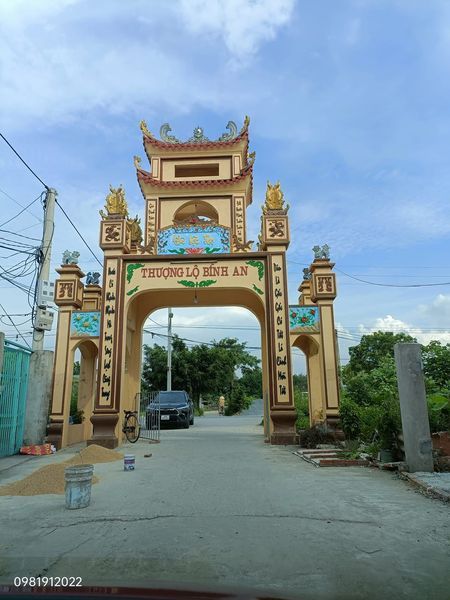 CẦN TIỀN BÁN GẤP 61m2 ĐẤT Ở ĐẠI ĐỊNH - TAM HƯNG. SÁT ĐƯỜNG CIENCO5 và VÀNH ĐAI 4.