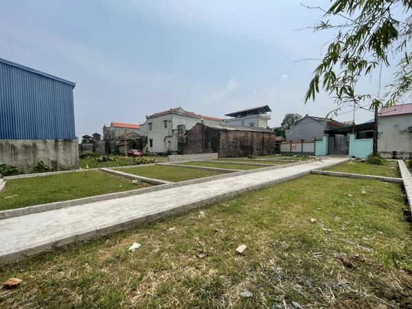 CÓ 8 LÔ MỚI RA HÀNG NAY ĐÃ BAY MẤT 5 LÔ tại Tam Đa - Thanh Văn - Thanh Oai - HN