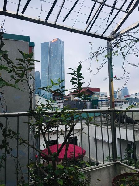 Bán nhà Phố Cát Linh Đống Đa Hà Nội Nhà 5 tầng chắc chắn còn mới ở luôn, 50m ra mặt phố
