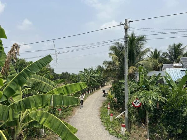 BÁN NỀN Đ. HÀO ĐỀ LỚN, Ô LONG VĨ, CHÂU PHÚ, AN GIANG (5*18 - 290TR)